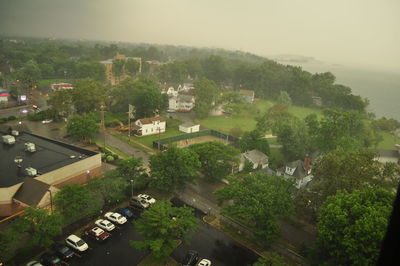 Aerial view of trees against sky