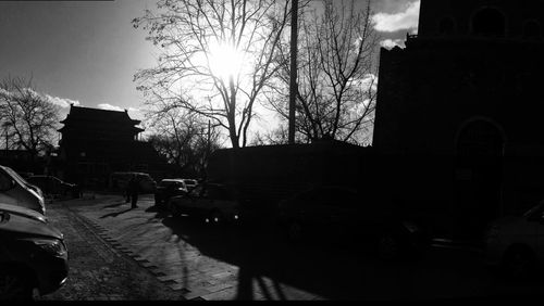 Bare trees against buildings