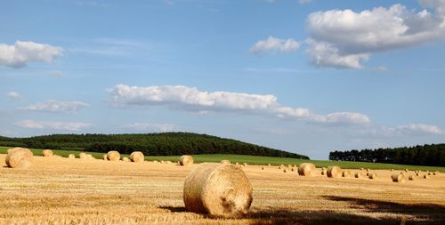 Hay bales on farm against sky 