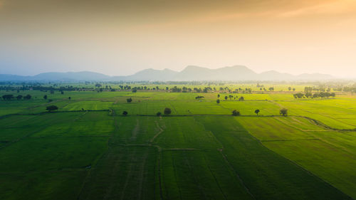 Scenic view of field against sky