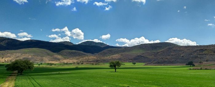 Scenic view of farm and mountains against blue sky