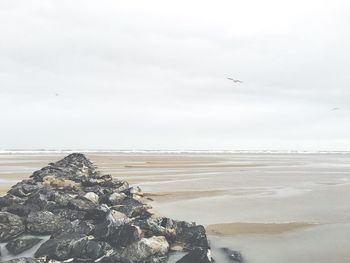 View of beach against sky