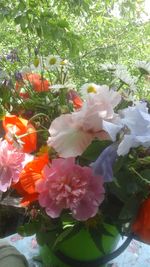 Close-up of flowers