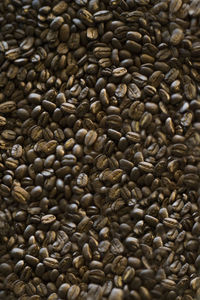 Full frame shot of coffee beans