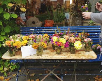 Close-up of flowers for sale