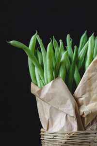 Close-up of plant against black background