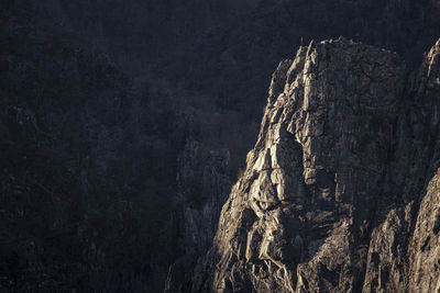 Panoramic view of tree against mountain range