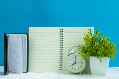 Potted plant on table against blue wall