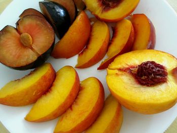 Close-up of fruits in plate