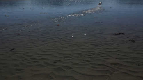 High angle view of beach