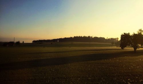 Trees on field against clear sky