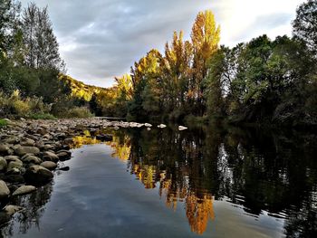 Scenic view of lake by trees against sky