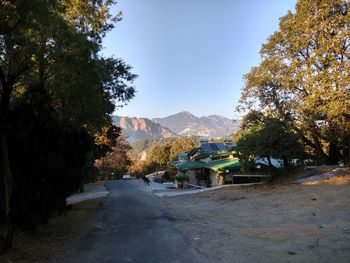 Road amidst trees against clear sky