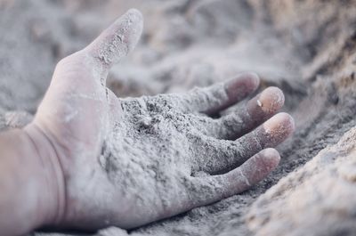 Close-up of cropped hand