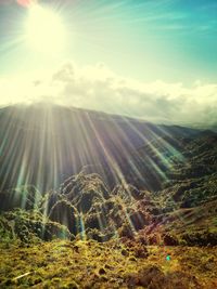 Scenic view of landscape against sky during sunset