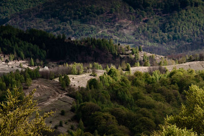 Spring nature raw wild landscape in apuseni mountains romania