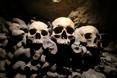 Close-up of human skull