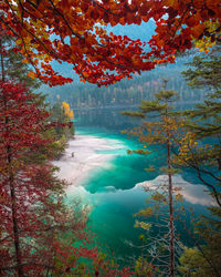 Scenic view of lake by trees during autumn