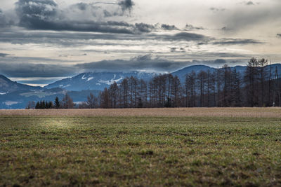 Scenic view of field against sky