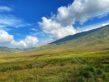 Scenic view of field against sky