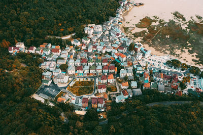 High angle view of houses and trees in city