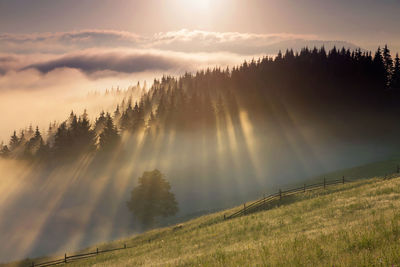 Scenic view of landscape against sky