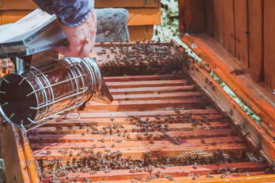 Close up of man using bee smoker in beehive