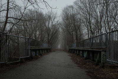 Walkway amidst trees in forest against sky