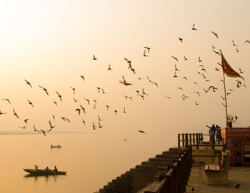 Flock of birds flying over sea against sky