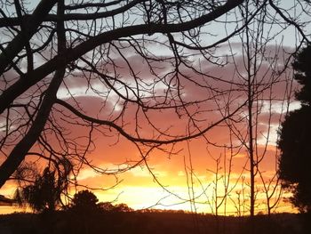 Silhouette bare trees against sky during sunset