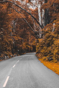 Road amidst trees during autumn