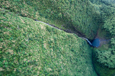 High angle view of sea shore