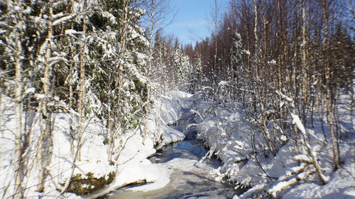 Snow covered land and trees against sky