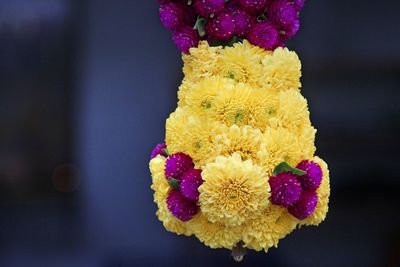 Close-up of yellow and purple floral garland