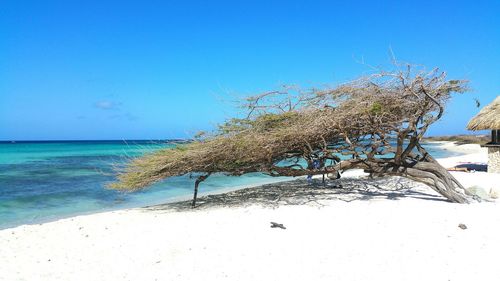 Scenic view of sea against clear blue sky