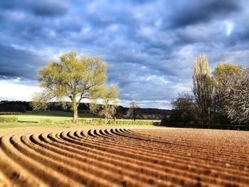 Scenic view of field against cloudy sky