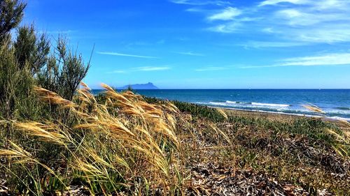 Scenic view of sea against blue sky