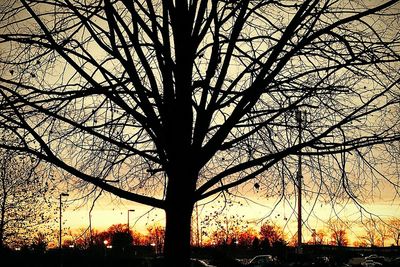 Low angle view of silhouette trees against sky at sunset