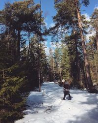 Woman walking on snow covered land