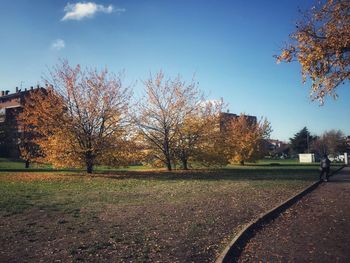 Trees on field against sky during autumn