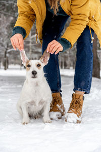 Full length of dog on snow