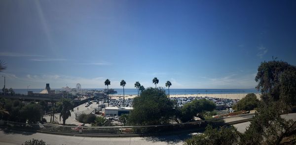 Palm trees against sky in city