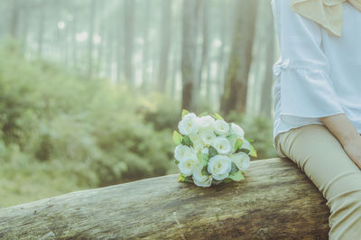 Close-up of flower bouquet against blurred background