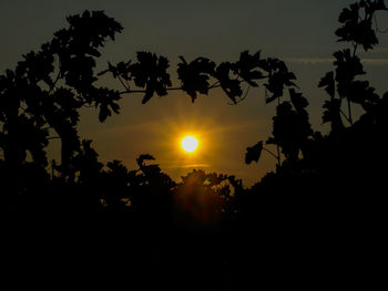 Silhouette trees against sky during sunset