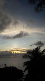 Silhouette palm trees by sea against sky at sunset