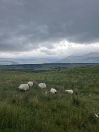 nature