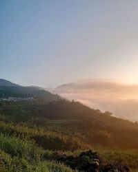 Scenic view of field against clear sky during sunset