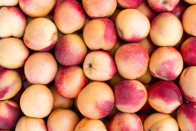 Full frame shot of fruits in market