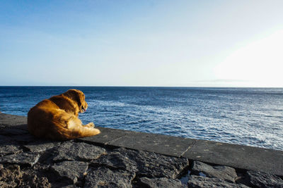 Scenic view of sea against clear blue sky