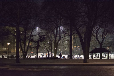 Illuminated park by street in city at night